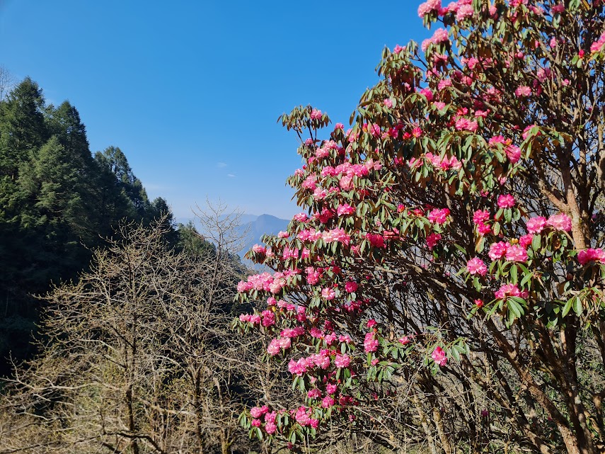 Day 19: Bimthang to Tilje (1,700 m/5,576 ft)