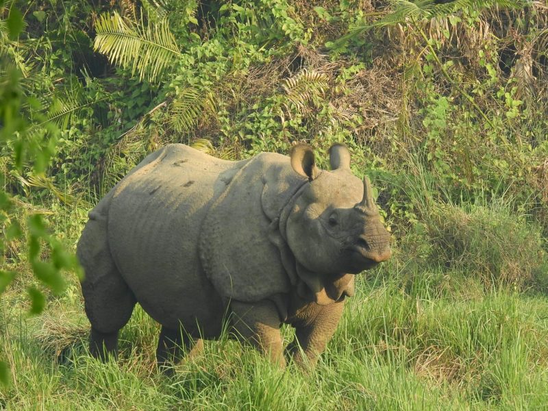 Tour in Nepal