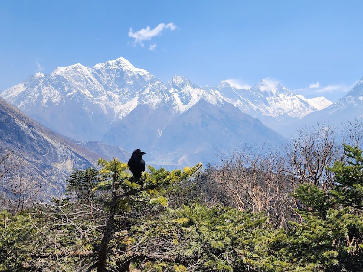 Everest View Trek