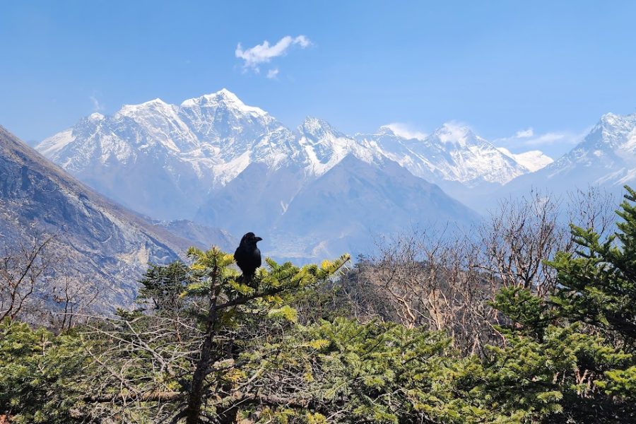 Everest View Trek