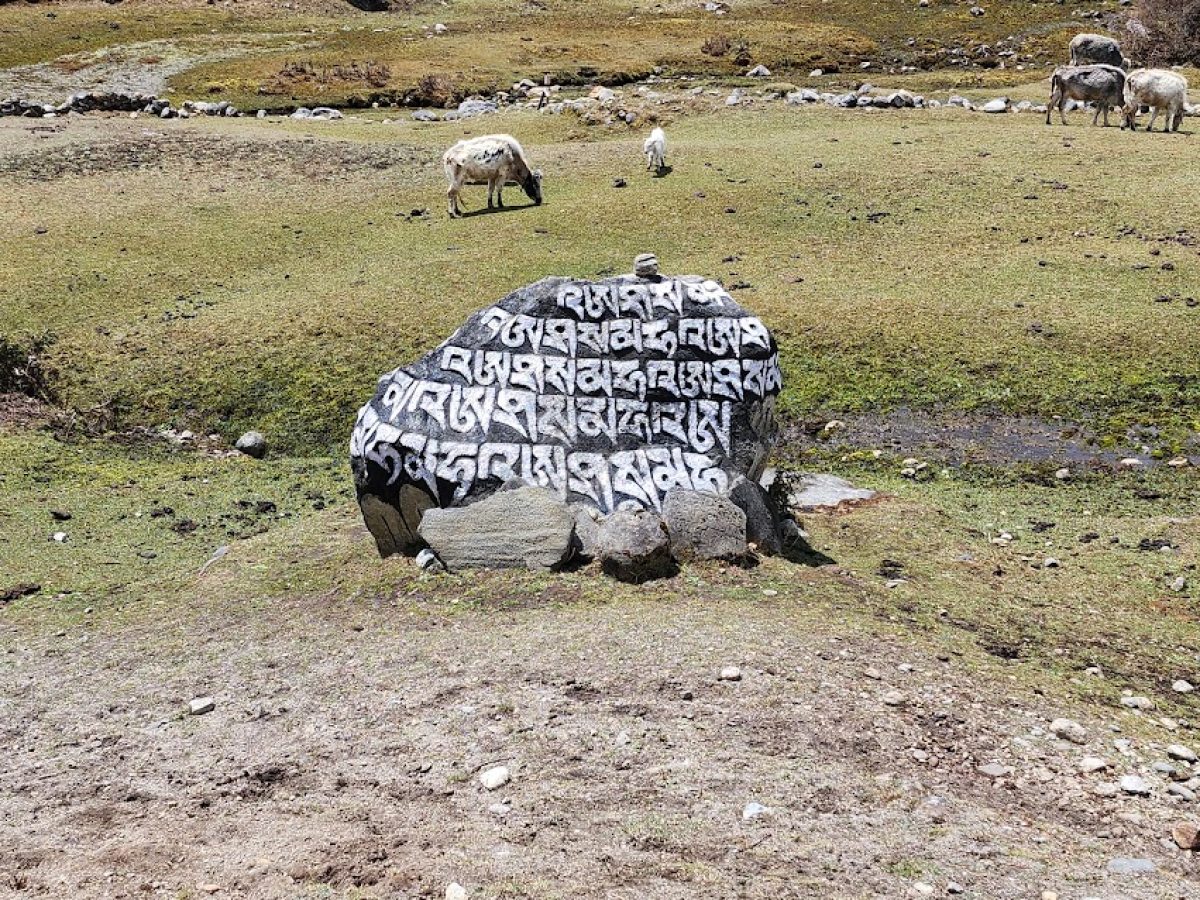 prya stone