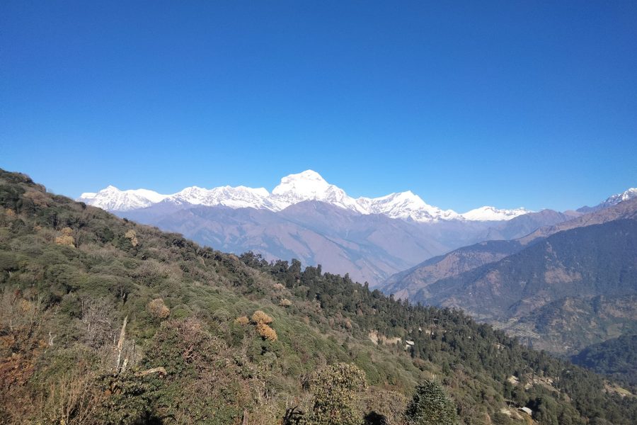 Khopra Danda Trek