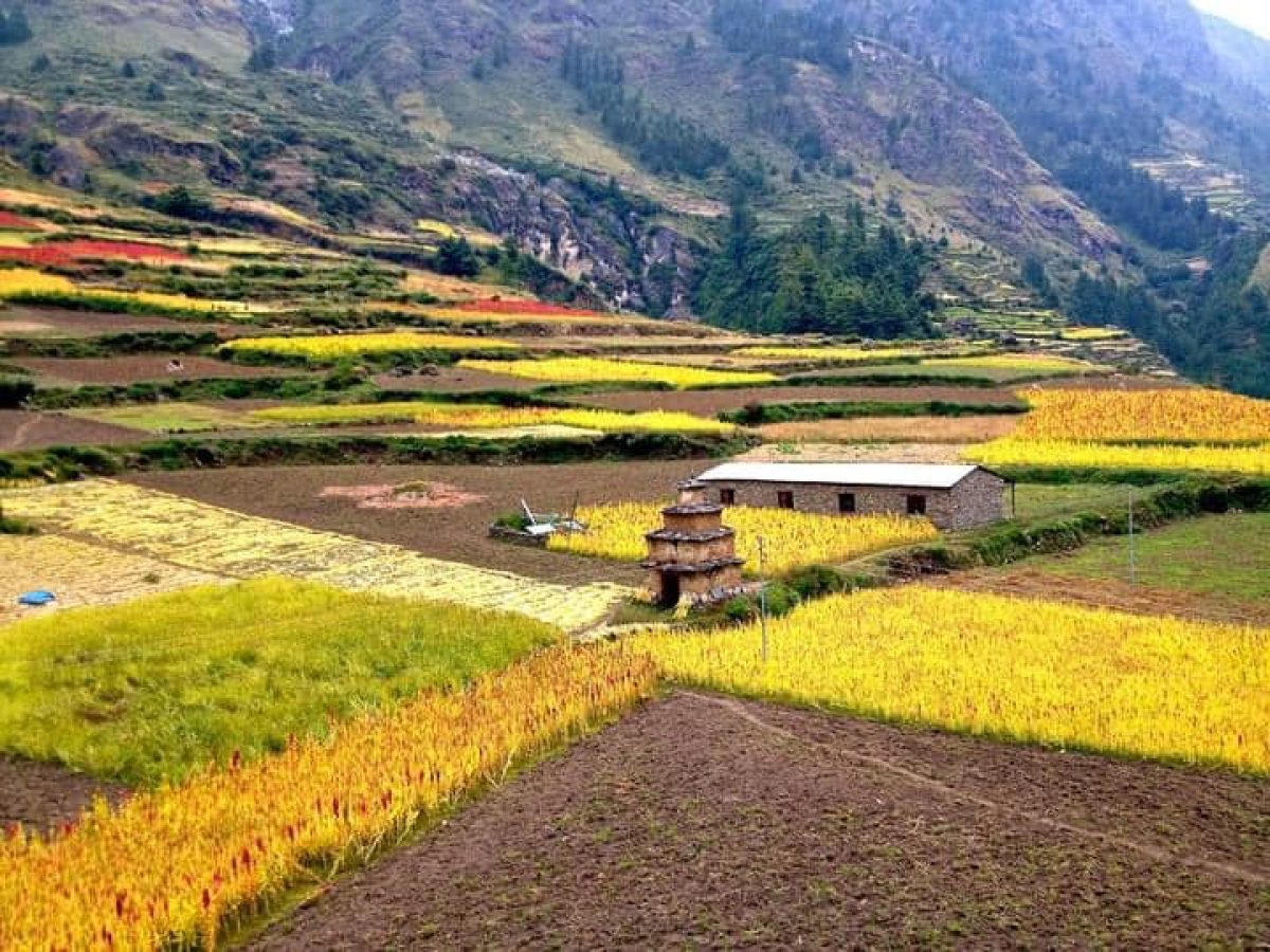 Tsum Valley Trek