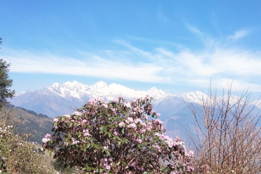 Shivapuri Nagarkot Trek