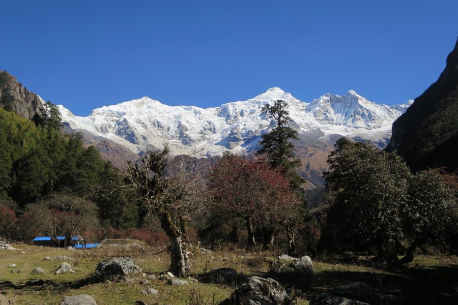 Bimthang Trekking