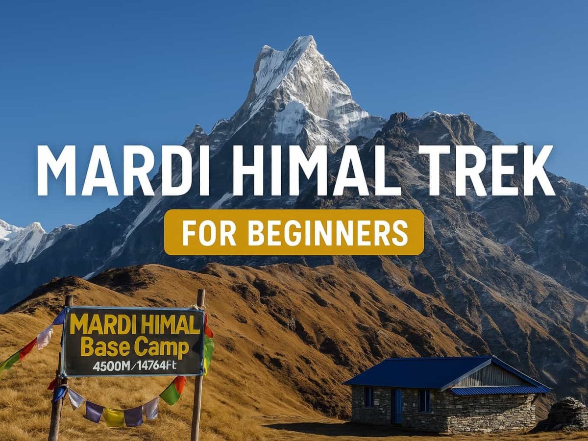Mardi Himal Trek for Beginners